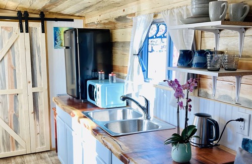 Arcata Cabin | Eco Retreat in Quiet Arcata Neighborhood with a private courtyard & kitchenette