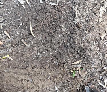 Mastichari House | Eco Secluded hand built stone house in an oasis