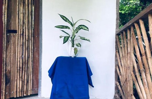 Sapzurro House | Ecocabaña Rosa María