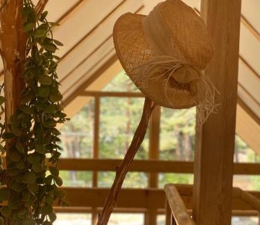 Borjomi Ski Chalet | EcoCottage Didi Mindori - Among the Pines