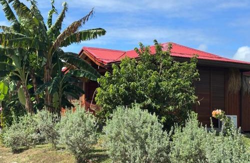 Saint-Francois Cabin | Ecolodge Anacardier -Bungalow Deluxe 1