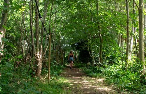 Renesse Other | Ecolodges De Dreef