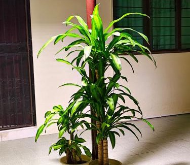 Taman Tasek Manikavasagam House | Econo Stay