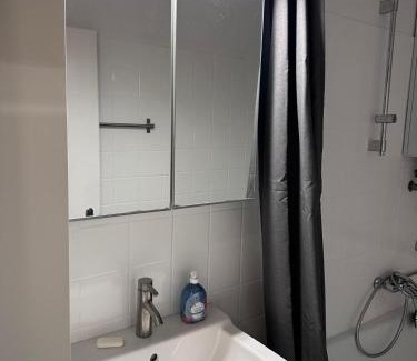 Innenstadtring Apartment | Ecostay Al Porto