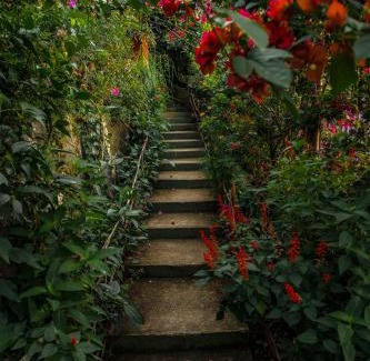 Devikolam Resort | Ecotones Munnar by Eden Environs