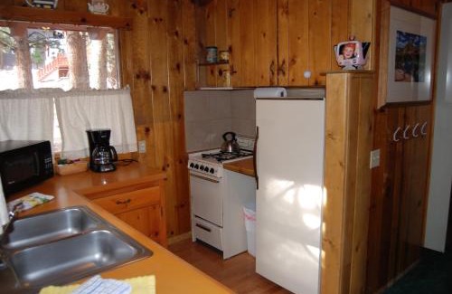 Mammoth Lakes Cabin | Edelweiss Lodge