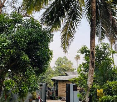 Alappuzha Bed & Breakfast | Eden cabana