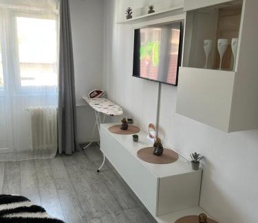Arad Apartment | Edy apartament