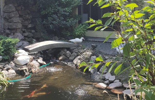 Euskirchen Apartment | Eifeler Romantiksuite Euskirchen Apartment Imperiale