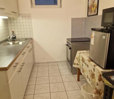 Waldshut-Tiengen Apartment | Einliegerwohnung mit 2 Zimmern, Badezimmer, küche