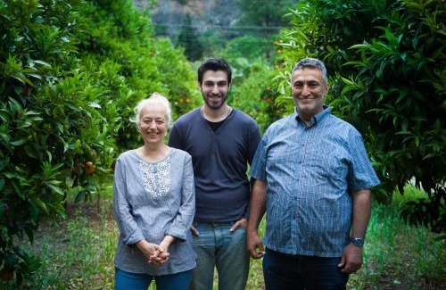 Olympos Bed & Breakfast | Ekinoks Hotel - Adults Only