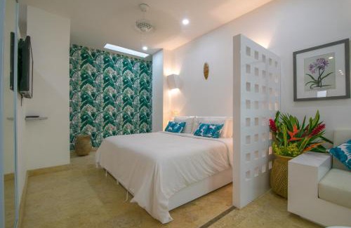 Barrio Centro Apartment | El Cactus Luxury Apartments in Historic Center
