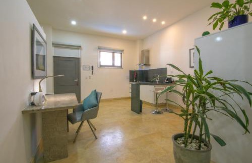 Barrio Centro Apartment | El Cactus Luxury Apartments in Historic Center