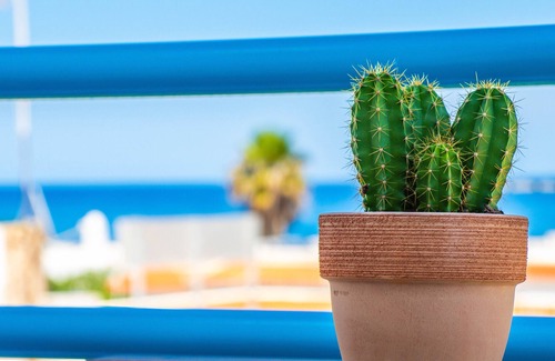Vista de los Angeles-Rumina Hotel | El Palmeral Playa