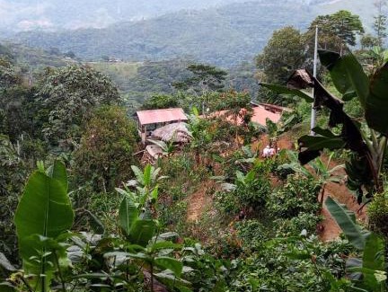 Cocorna House | El Tagual, alojamiento Villa Hermosa