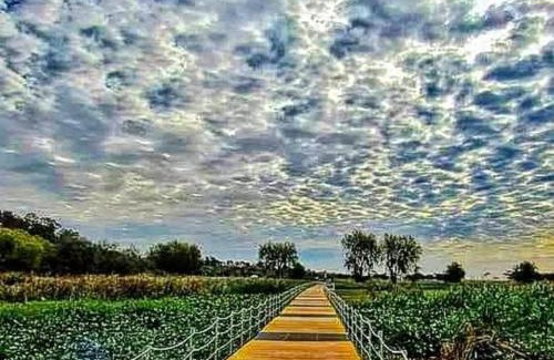 San Nicolas de los Arroyos Apartment | El Trovador Alquileres Temporarios Zona Norte