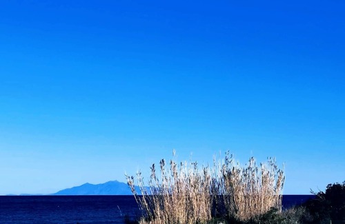 Sisco Apartment | Elbe Cottage: Villa Carolina