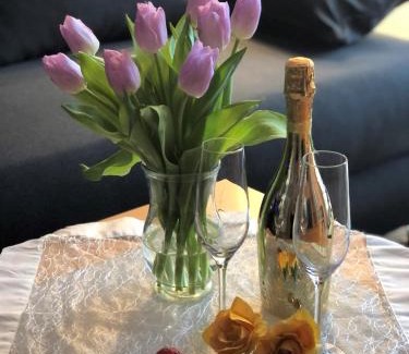 Magdeburg Apartment | Elbidyll