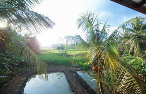 Poddala Apartment | Eleena House