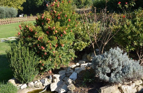 Rivotorto Apartment | Elegant accommodation for 2-4 people in the green countryside in Assisi