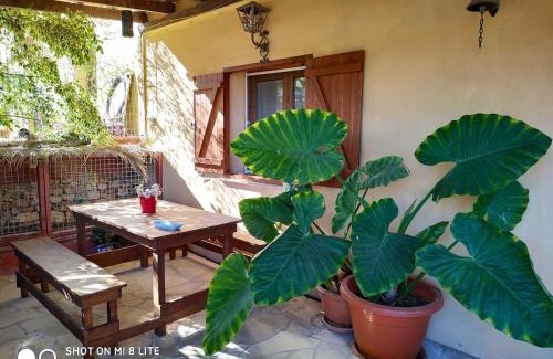 Los Diaz Villa | Elegant Villa in Cartagena with Private Pool