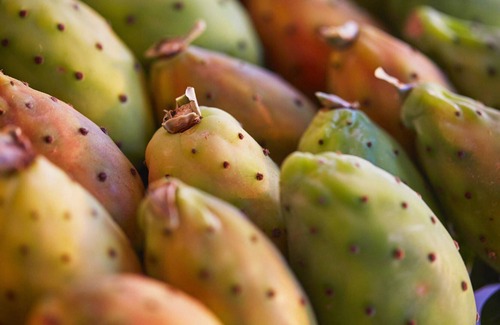 Petrosino Villa | Elegant villa with pool in Sicily/Modern furnishings in the bright rooms/Immersed in the green viney