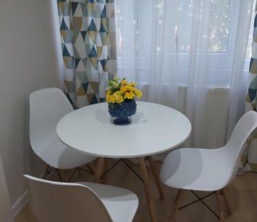 Tirgu Mures Apartment | Elite Studio