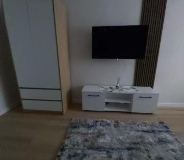 Tirgu Mures Apartment | Elite Studio