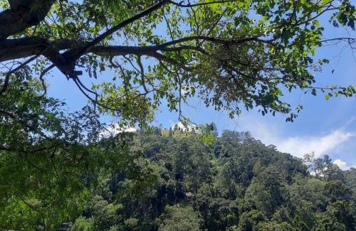 Ella Bed & Breakfast | Ella Nithis Eco Cottages