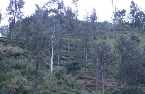 Kumbalwela Hotel | Ella Rock Land