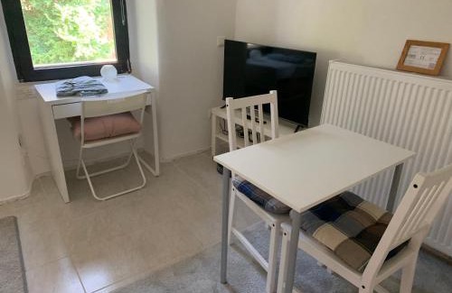 Bad Kreuznach Apartment | Ellerbachblick in der Altstadt