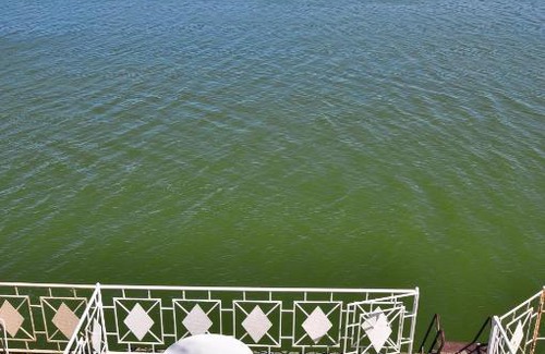 Taganrog House | Elling Morskoi dom