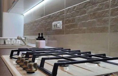 Centrul Vechi Apartment | Ema's Vintage Spacious 2 BR Central Apartment with Mountain View