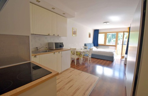 Madonna di Campiglio Apartment | EMERALD 36 STUDIO 022143-AT-672307