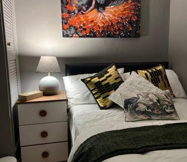 Belfast City Centre House | Empire House