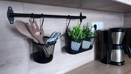 Niederlangen Apartment | Emsland Hus WG1