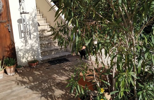 Arles Apartment | En Ville Avec un air de Campagne