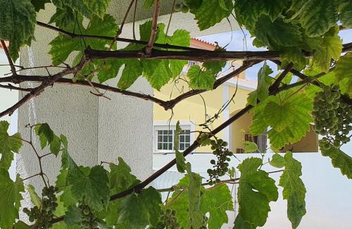 Sao Miguel do Rio Torto Villa | Encantadora Vila Amoreira, perto Óbidos O Refúgio perfeito