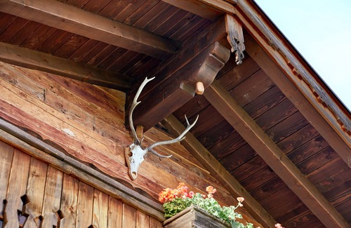 Hundsdorfl Ski Chalet | Enchanting hut in Almdorf Flachau with fireplace, private sauna and alpine charm