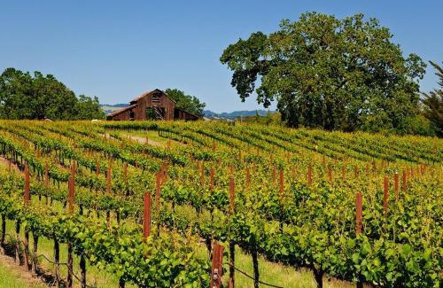 Sonoma House | Enchanting Sonoma Wine Country Retreat 3BD2BA