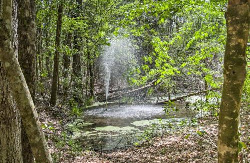 Kiln Apartment | Enchanting Whitney Cabin with Beach and Creek!