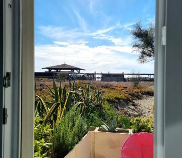 Focene House | EndlessSummer