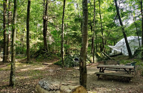 Mount Storm Cabin | Enjoy Nature At Its Finest-Rustic Furnished Cabin W/Electricity at Abrams Creek