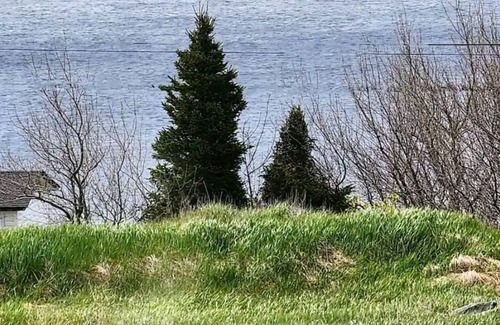 Terra Nova House | Enjoy peace and calm in this 150 year old traditional NL home