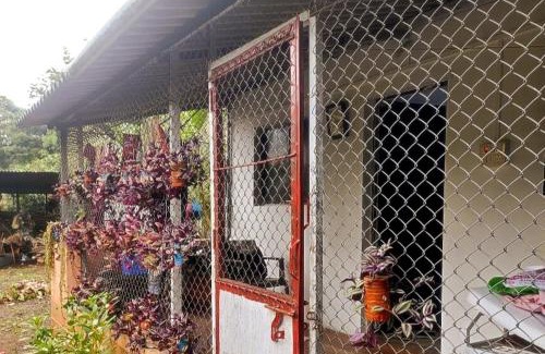 Peint House | Entire 2Ecre Farm Dharmadhikari Farm Home Stay
