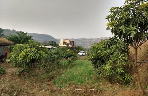 Peint House | Entire 2Ecre Farm Dharmadhikari Farm Home Stay