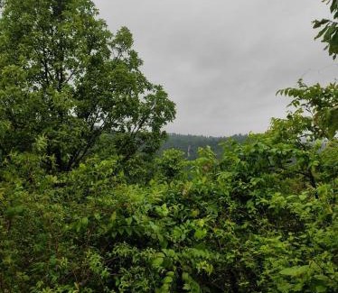 Peint House | Entire 2Ecre Farm Dharmadhikari Farm Home Stay