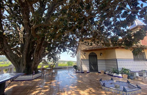 Alzira Cottage | Entire Country House with Pool, Scenic Views & Orange Grove