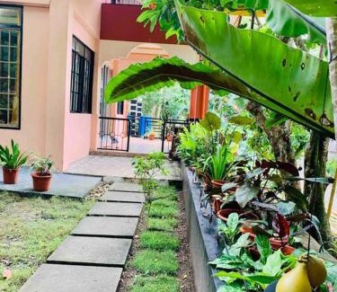 Dauis House | EntireHouse n Panglao FastWiFi AC HotShowers Netflix