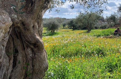 Coreggia House | EQUI TRULLO